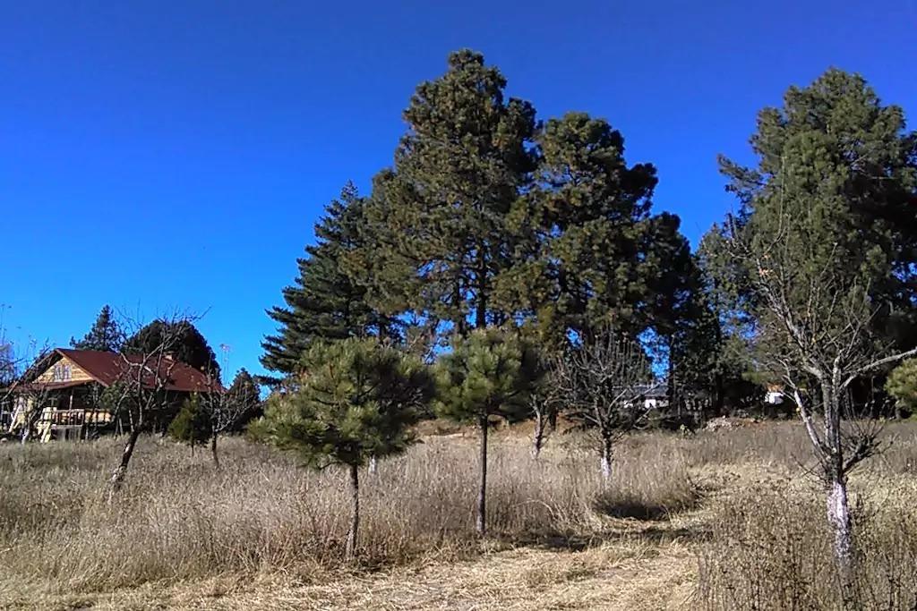 Rancho Pitorreal Guest House Huichigomachi Bagian luar foto